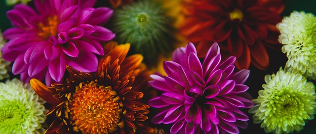 僅是一位強 僅是一位強