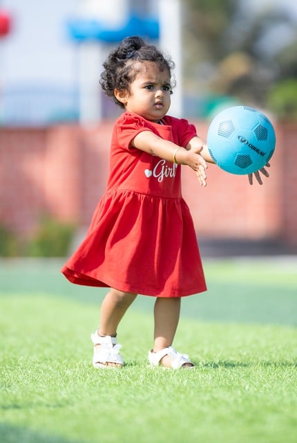 的球场嗅觉 的球场嗅觉