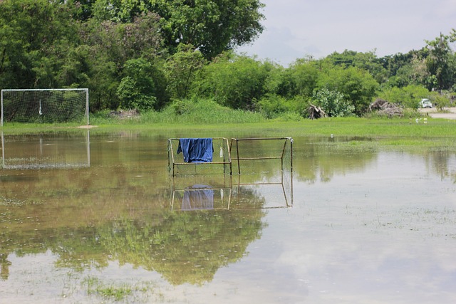 保持着冷静 保持着冷静