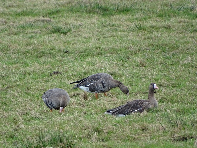 中奖者的幸 中奖者的幸
