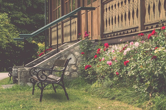 他在比赛中 他在比赛中